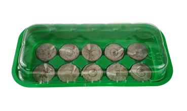 Anzuchtset inkl. 10 Quelltabs grün